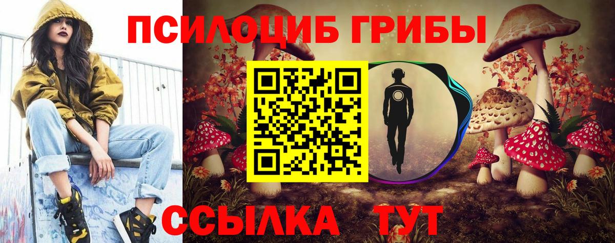 Галлюциногенные грибы Psilocybe  Вход с VPN  наркотики  Нерюнгри 